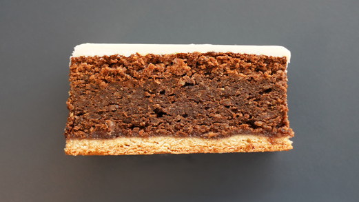 Bio-Studentenschnitte